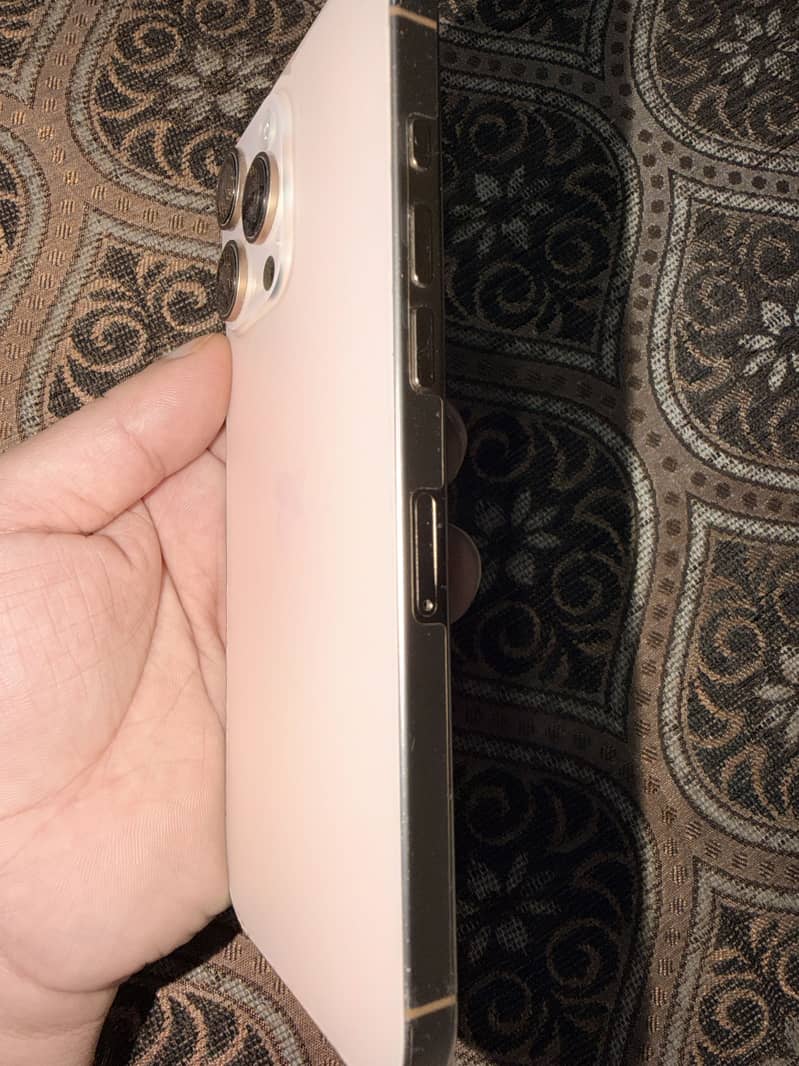 Apple iPhone 16 Pro Max 2