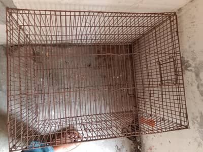 cage size (2*1.5*1.5) . contact number 03330031118
