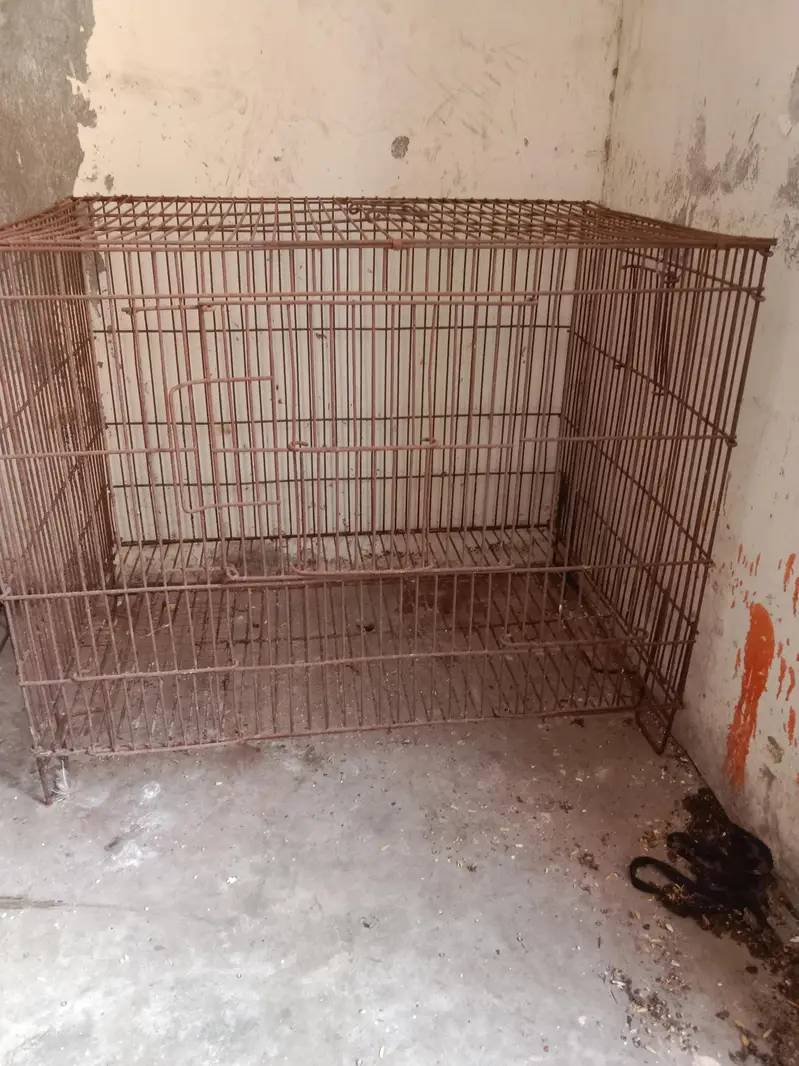 cage size (2*1.5*1.5) . contact number 03330031118 — photo 2