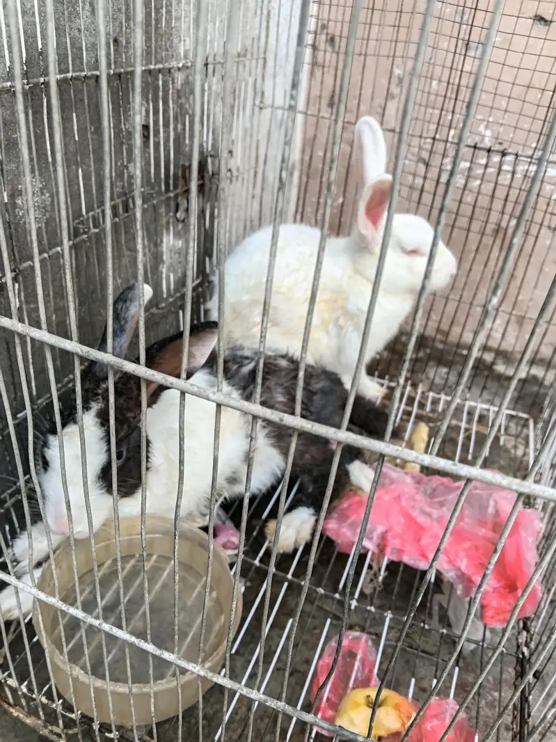 urgent sale — photo 2