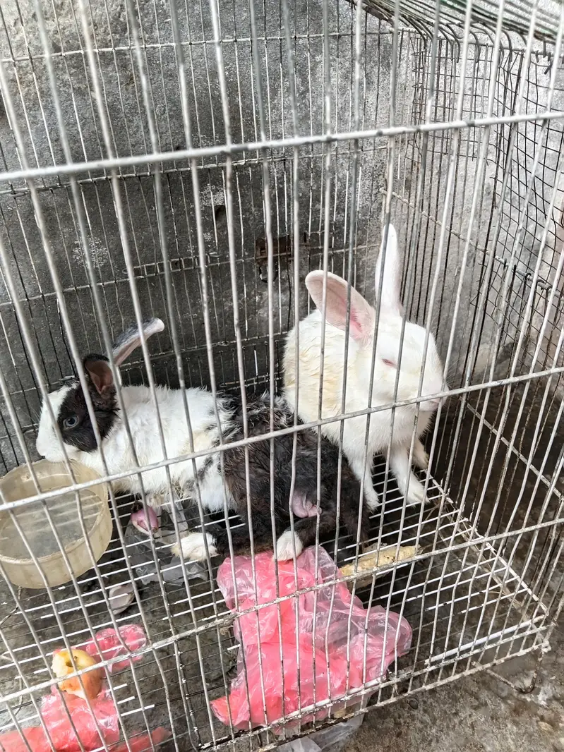 urgent sale — photo 3