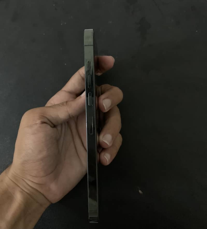 Apple iPhone 13 Pro Max 0