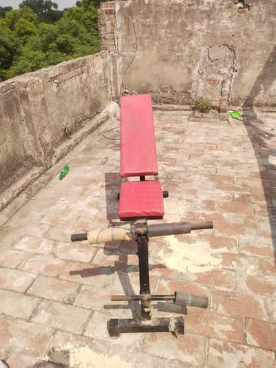 Gym bench