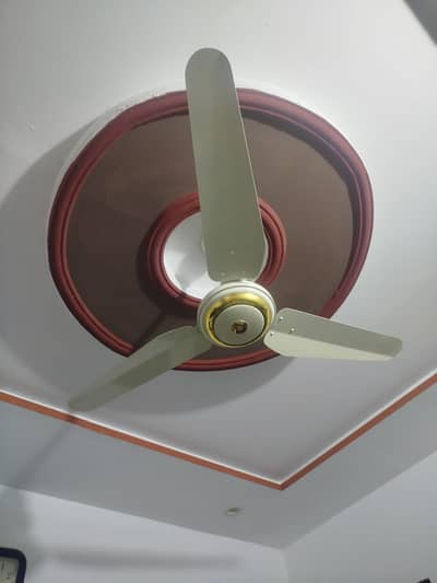 AC Fan