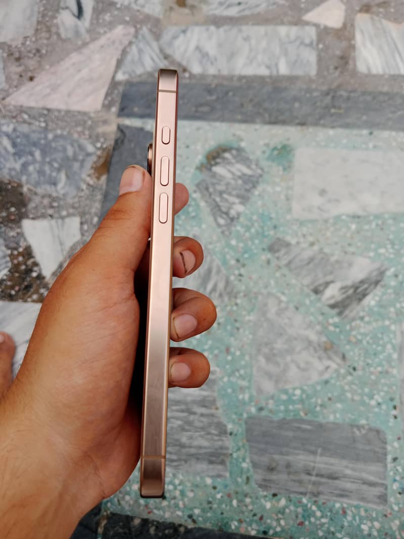 Apple iPhone 16 Pro Max 1