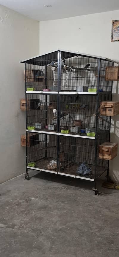 Heavy Duty 6-Portion Bird Cage – Excellent Condition 