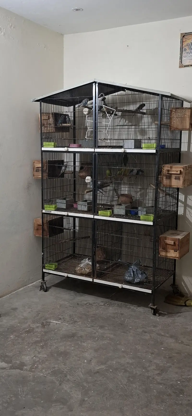 Heavy Duty 6-Portion Bird Cage – Excellent Condition 