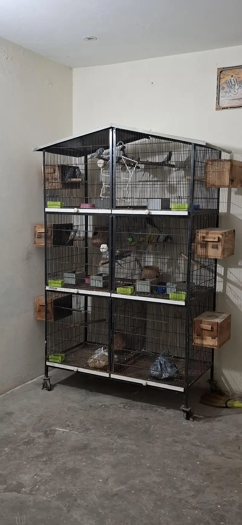 Heavy Duty 6-Portion Bird Cage – Excellent Condition  — photo 2