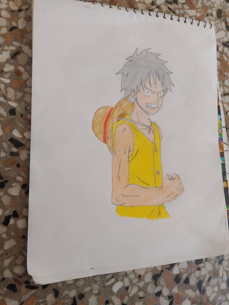 Monkey-D-Luffy 2