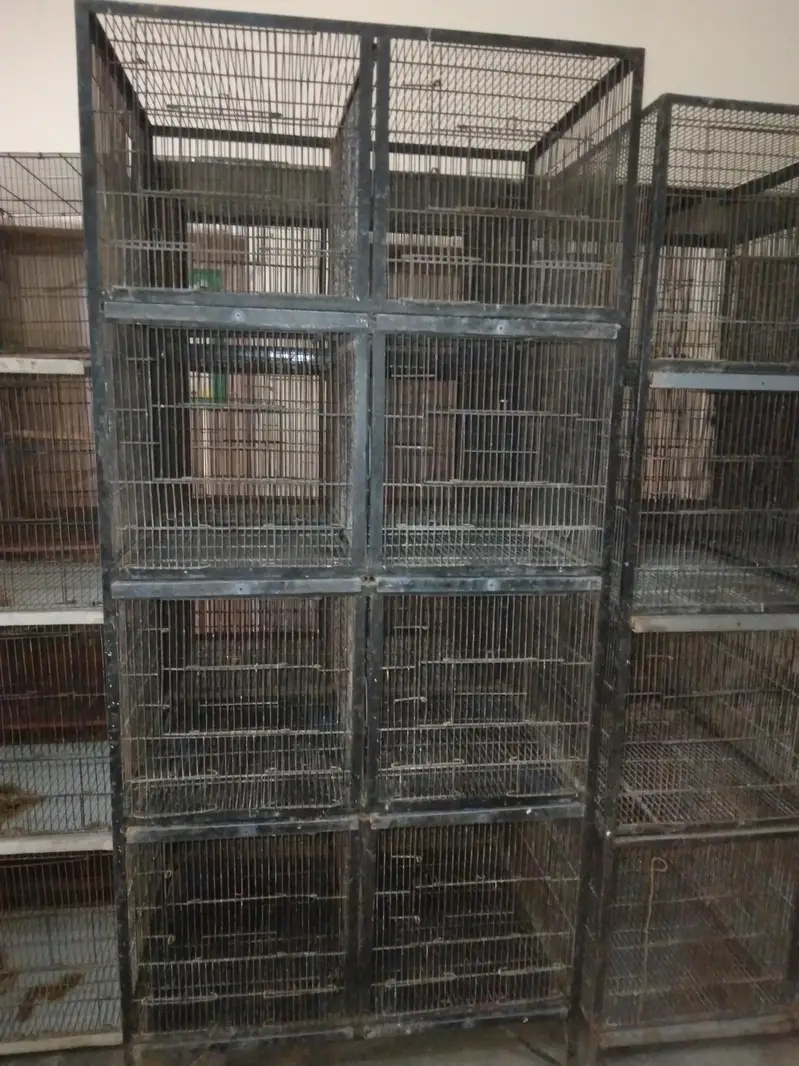 Cages
