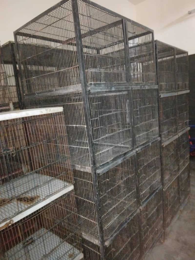 Cages 1