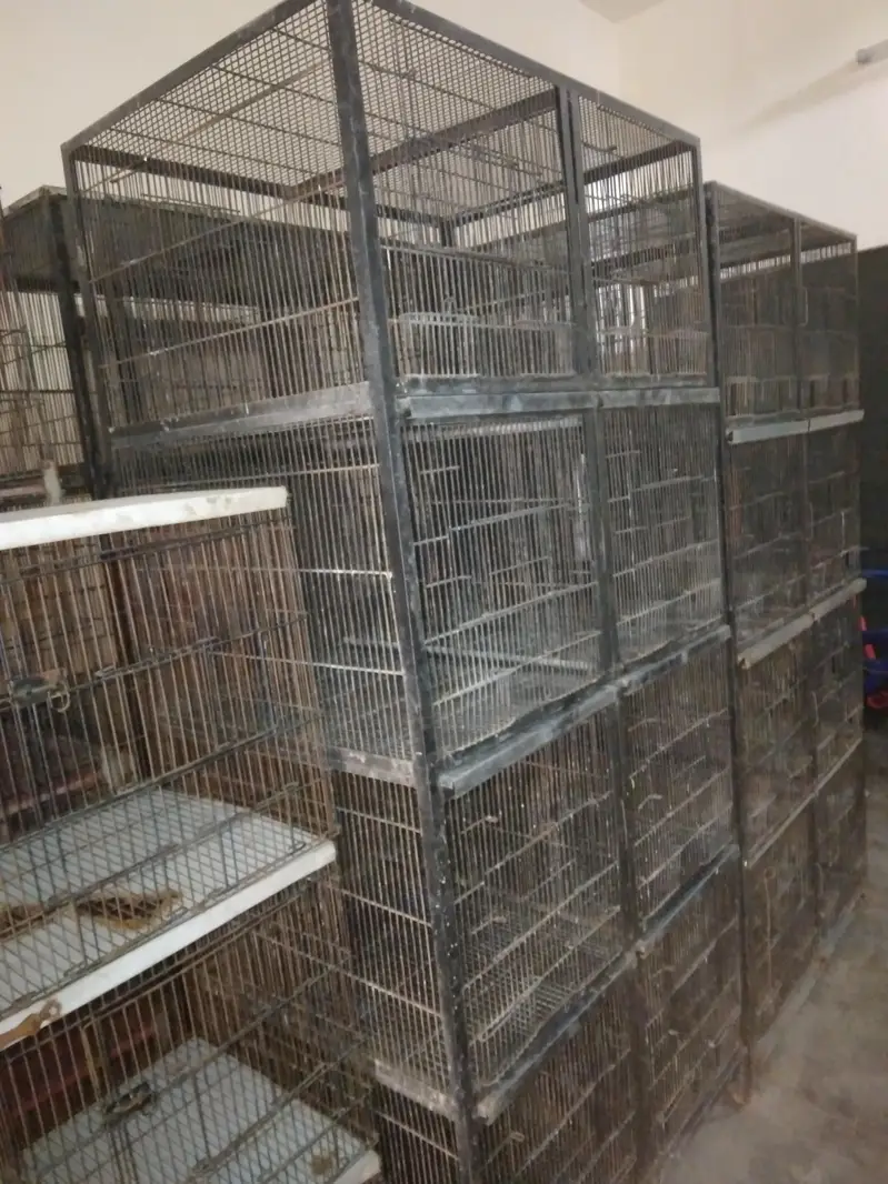 Cages — photo 2