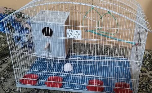 Big Size Cage (Parrots) - & All Accessories - WhatsApp 03335902880
