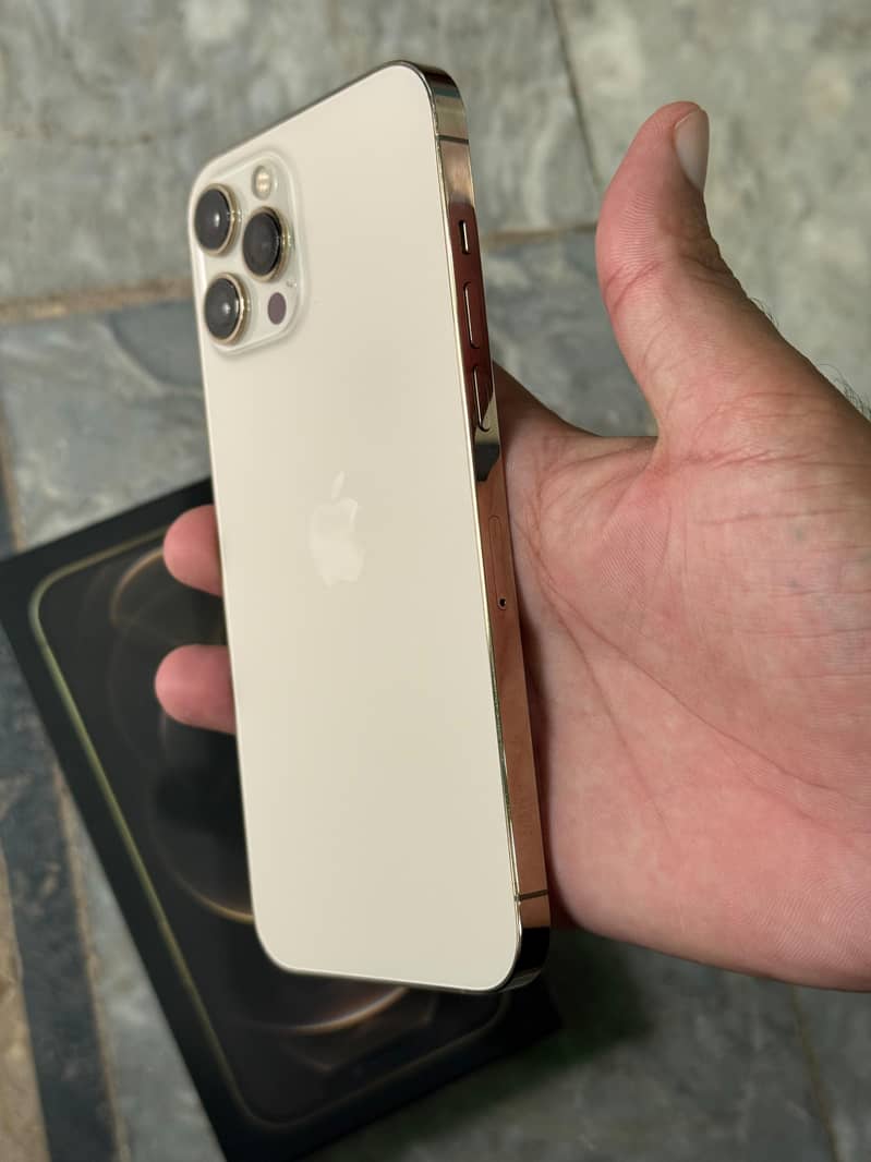 Apple iPhone 12 Pro Max 2