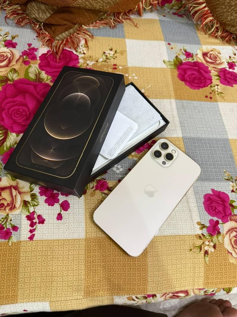 Apple iPhone 12 Pro Max 6