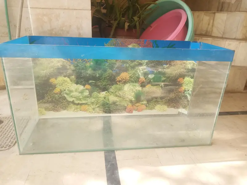 aquarium glass tank for sale big size good condition