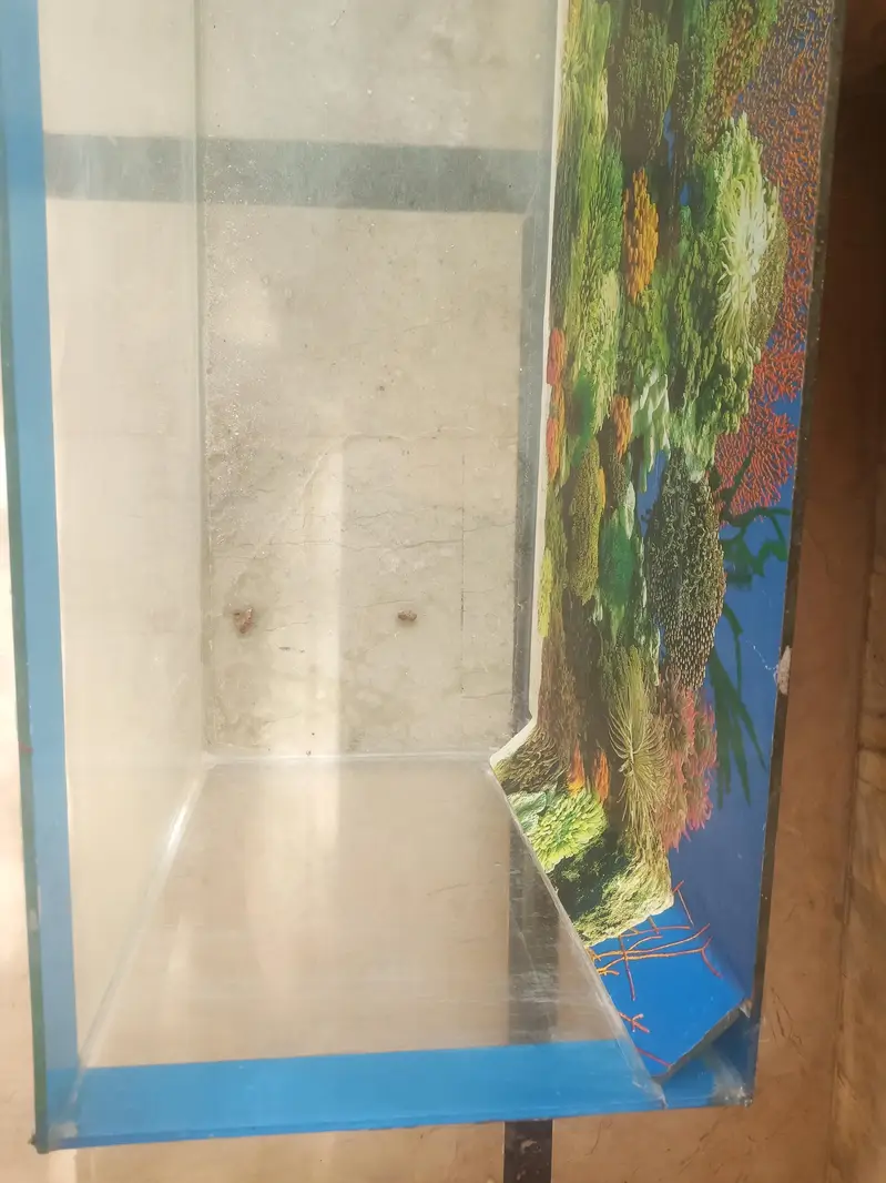 aquarium glass tank for sale big size good condition — photo 2