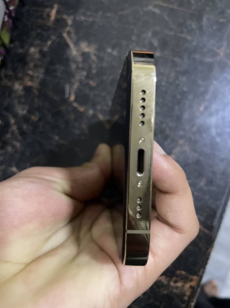 Apple iPhone 13 Pro 1