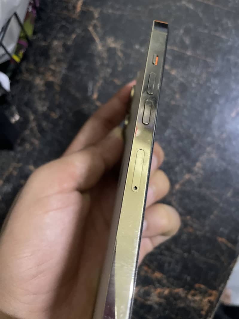 Apple iPhone 13 Pro 4