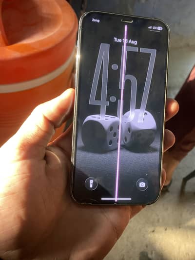 Apple iPhone 12 Pro
