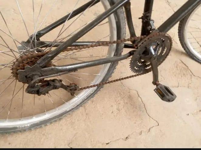MTB Cycle 1