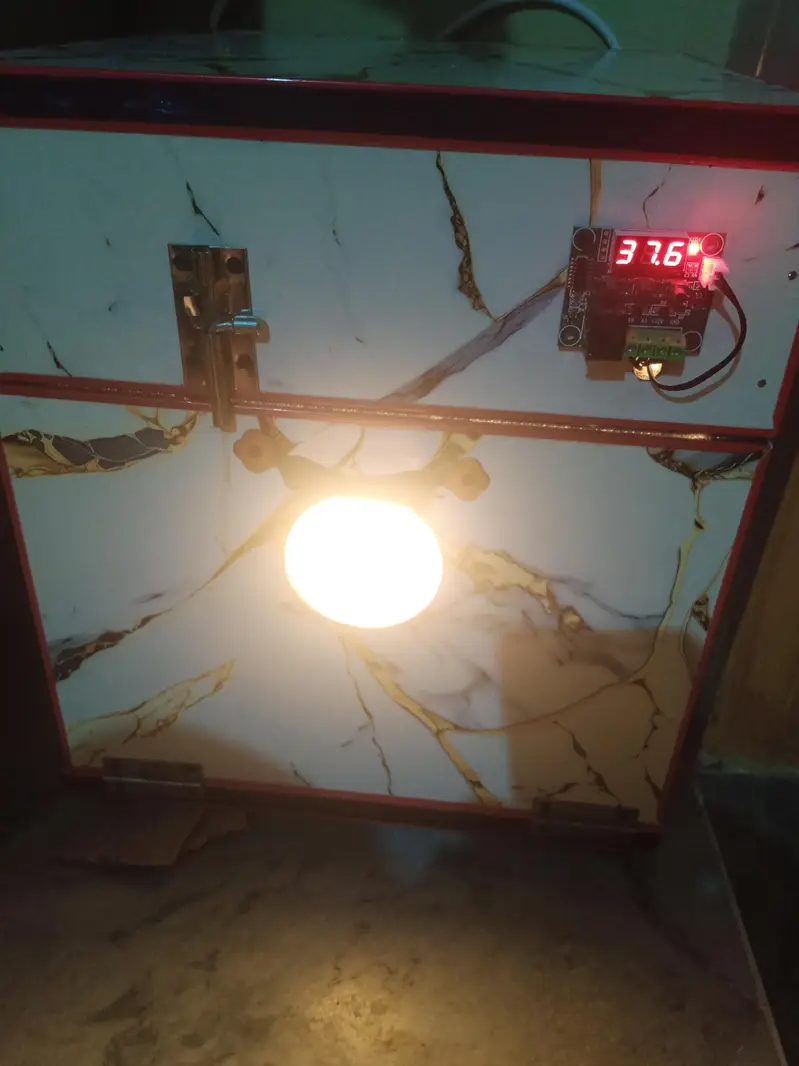 eggs incubator