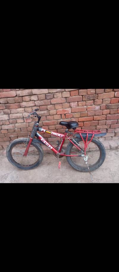 Bicycle Net and Clean Just By And Use 10/10 condition