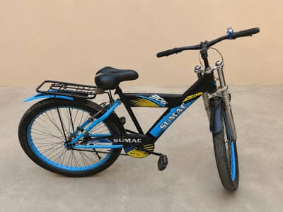 Used Mountain Bicycle – Good Condition