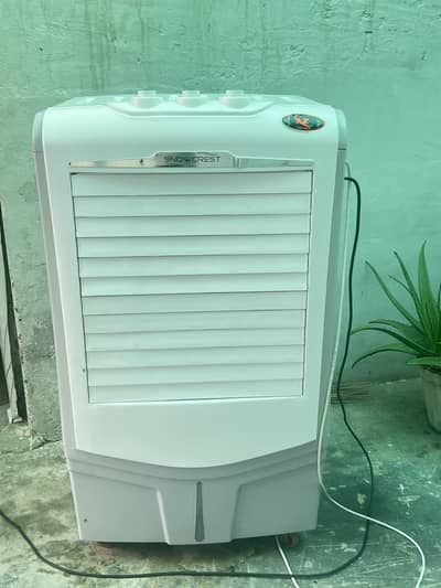 Ac / Dc air cooler