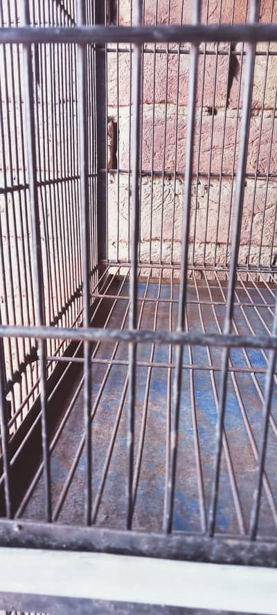 Birds Cage Good Condition MultanMetal Bird Cages For Sale- 3 Available
