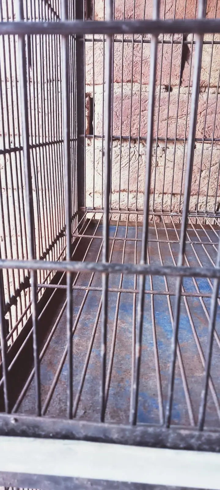 Birds Cage Good Condition MultanMetal Bird Cages For Sale- 3 Available
