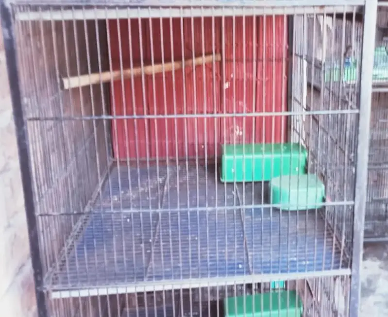 Birds Cage Good Condition MultanMetal Bird Cages For Sale- 3 Available — photo 2