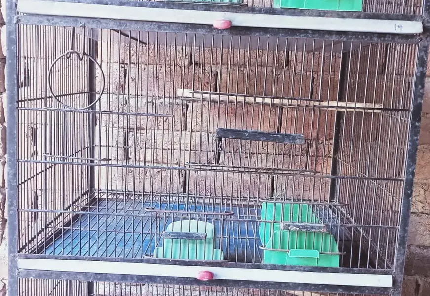 Birds Cage Good Condition MultanMetal Bird Cages For Sale- 3 Available — photo 3
