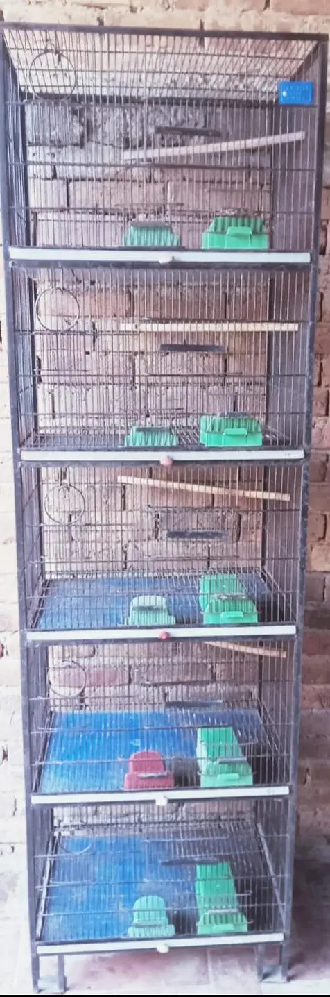 Birds Cage Good Condition MultanMetal Bird Cages For Sale- 3 Available — photo 4