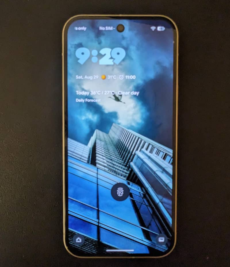 Google Pixel 9 2