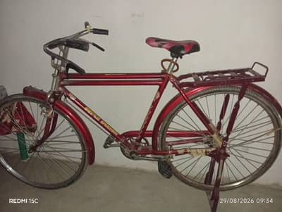 Bicycle