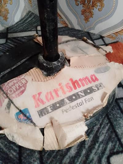 Karishma fan new 
