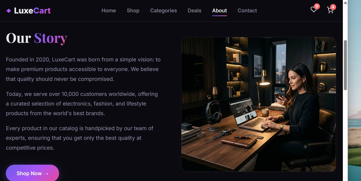 Professional Web Developer | Business & E-Commerce Websites 5
