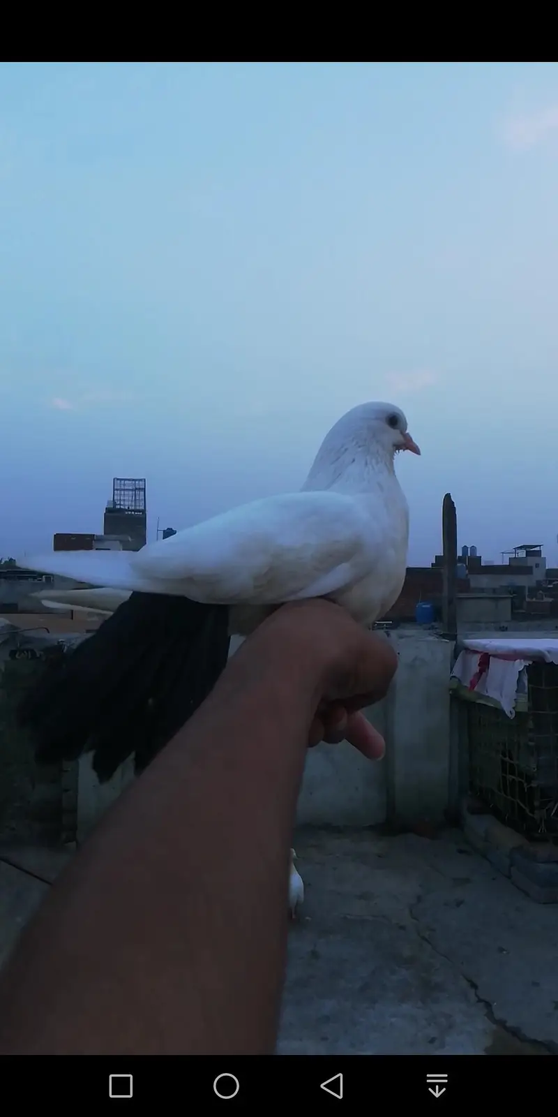 lakay — photo 3