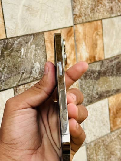 Apple iPhone 14 Pro Factory Unlock