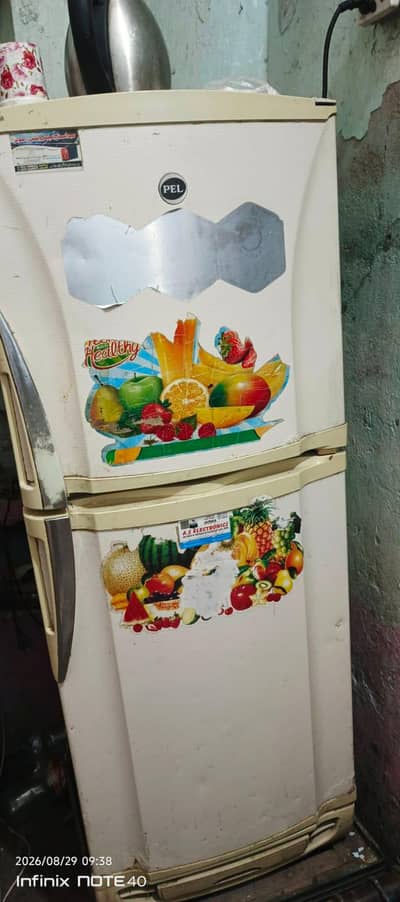 pel fridge for sale