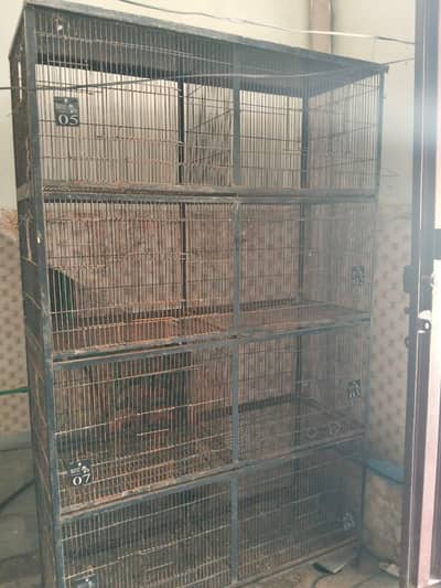 birds cage