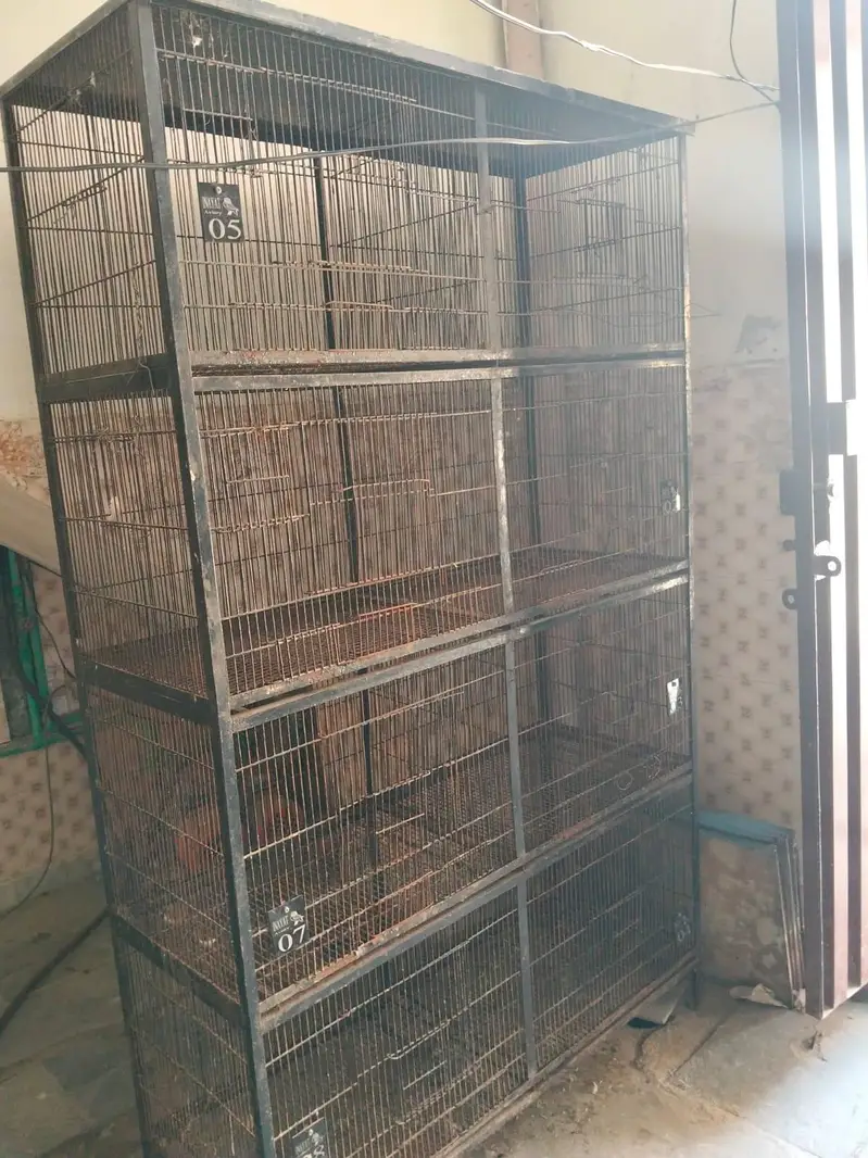 birds cage — photo 2