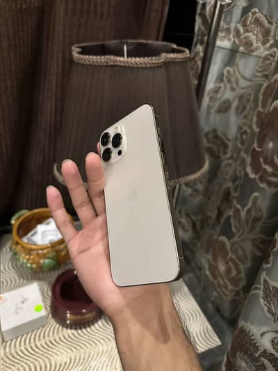 Apple iPhone 13 Pro Max