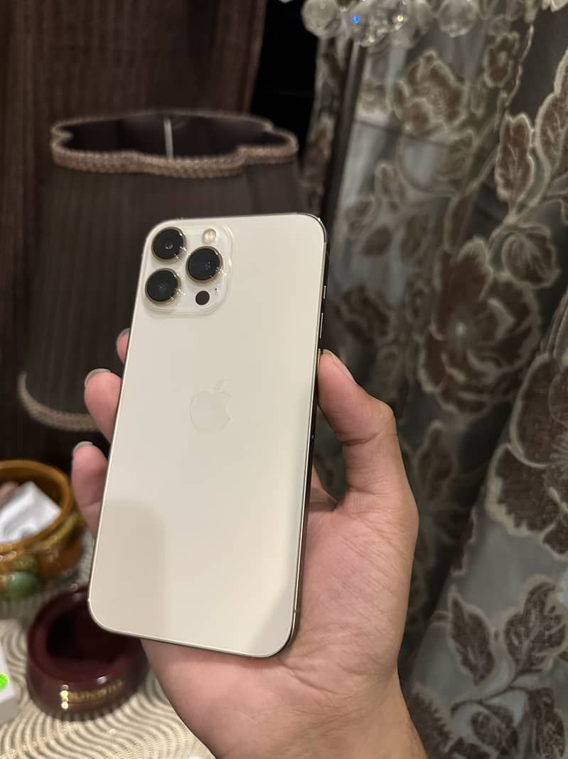 Apple iPhone 13 Pro Max 1
