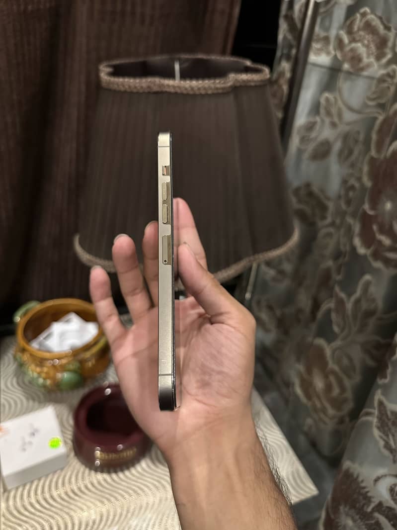 Apple iPhone 13 Pro Max 2