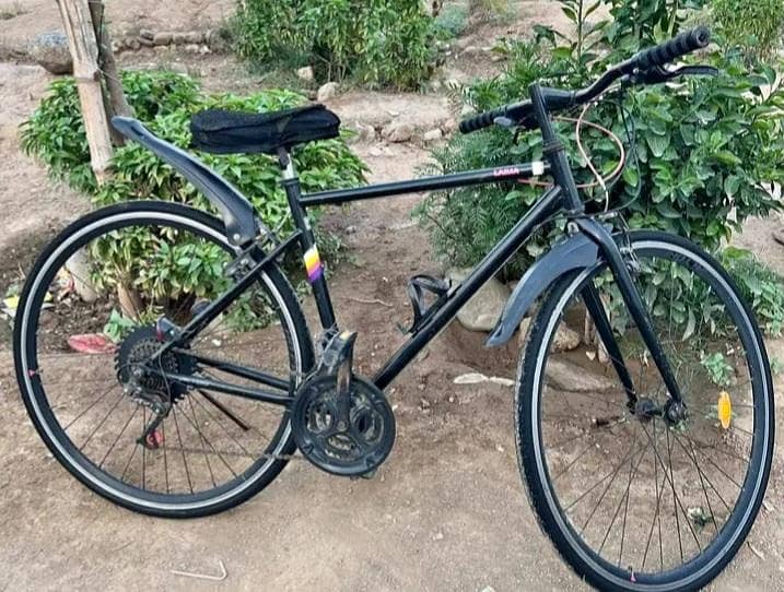 Bicycle 1