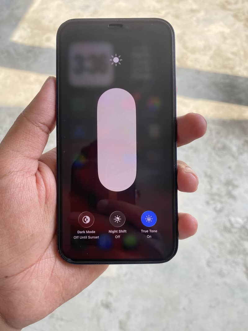 Apple iPhone 12 1