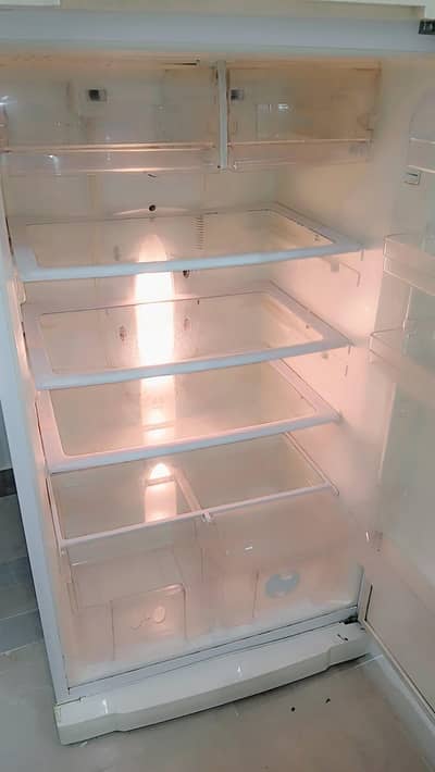 Toshiba jumbo size dubai made fridge