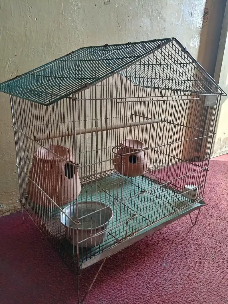 Large Bird Cage with 4 Healthy Zebra Finches (Complete Package) — photo 7